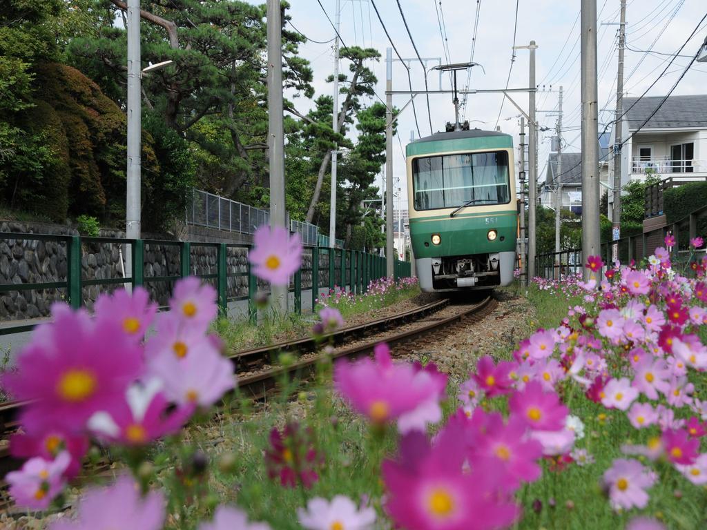 Sotetsu Fresa Inn Fujisawa Shonandai Exteriér fotografie